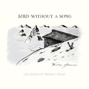 Bird Without A Song - Written Memories