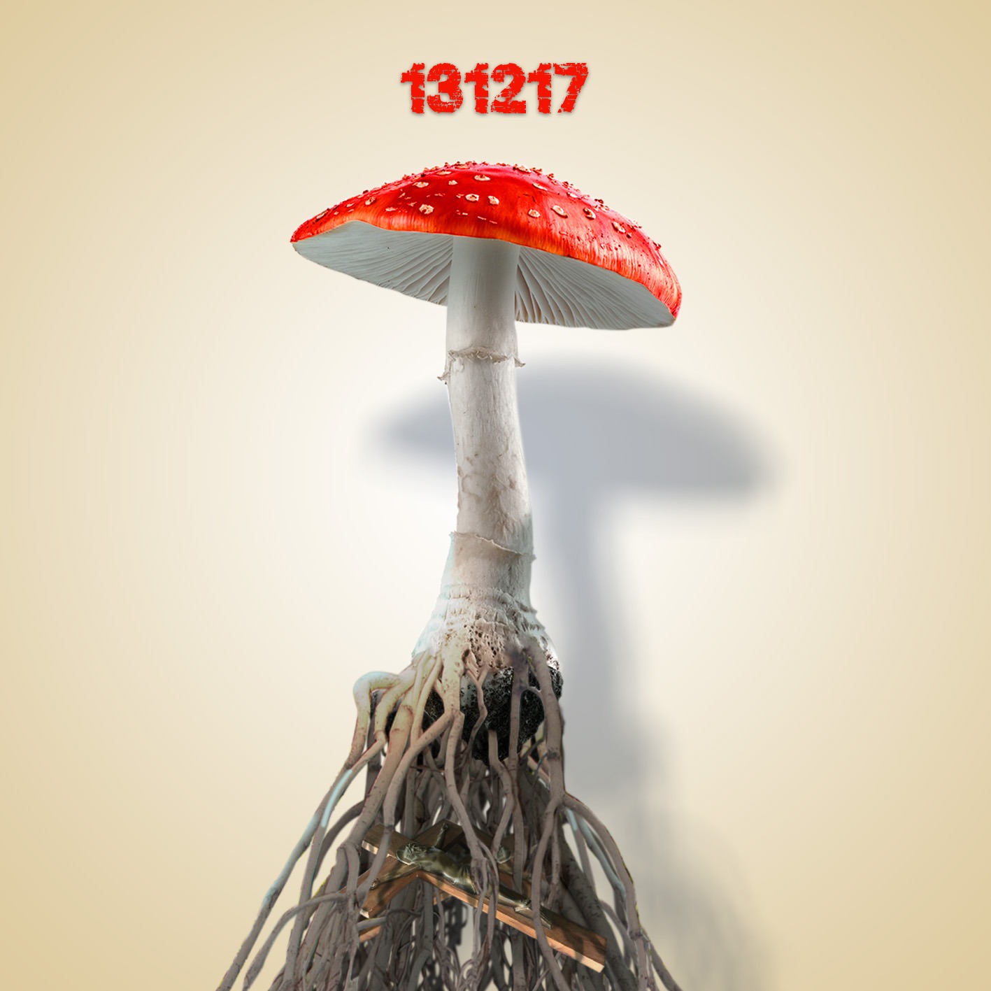 Sex Shop Mushrooms - 131217