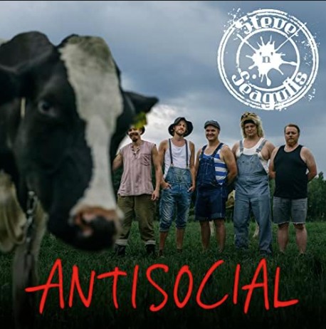 Steeve’n Seagull - Antisocial